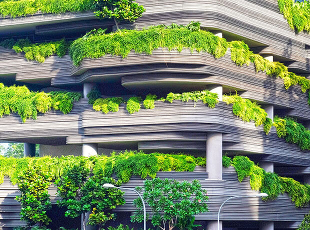 projects 10 free img