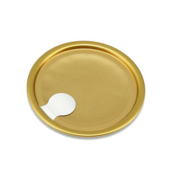 aluminum can lid (2)